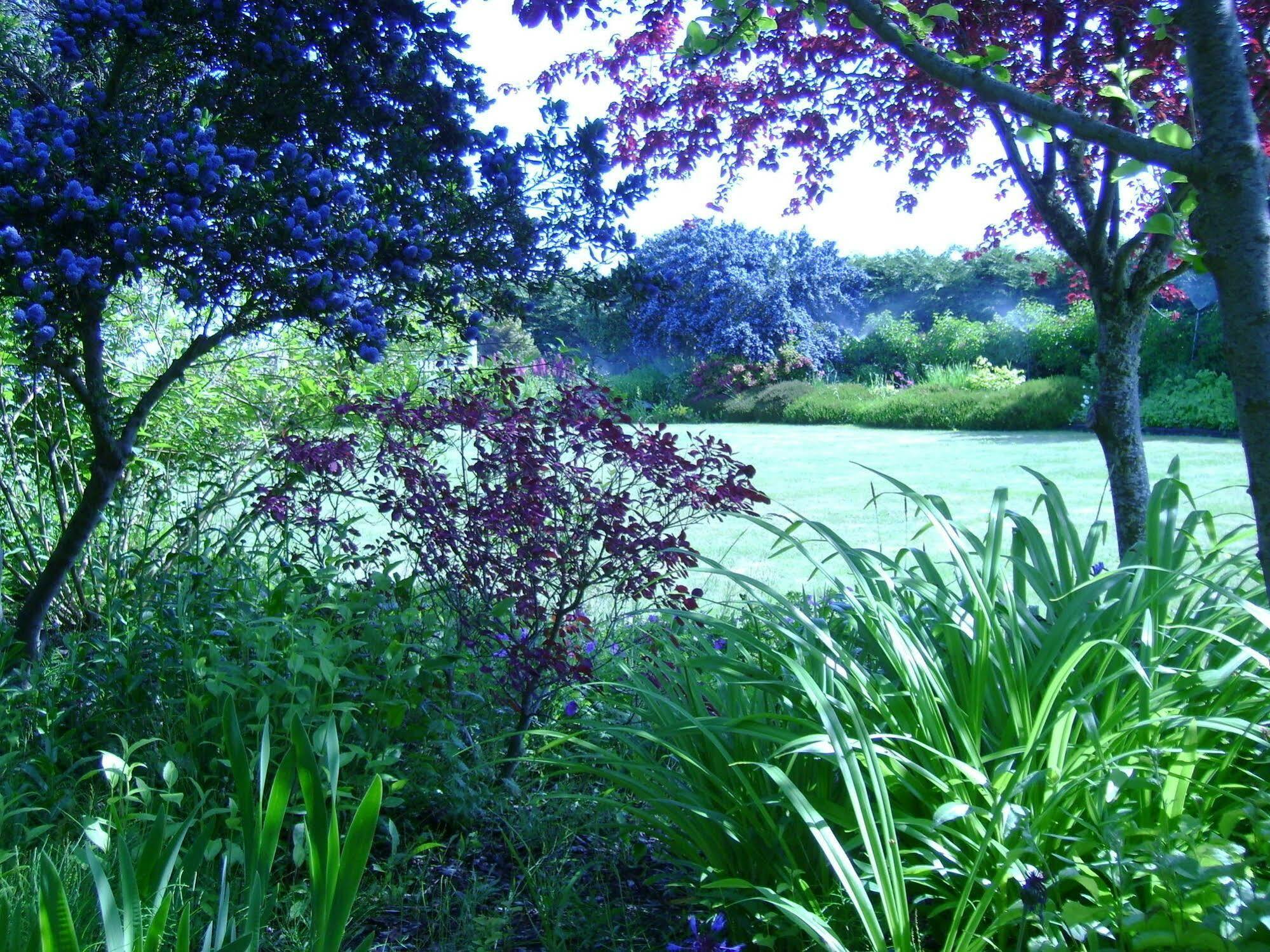 Sea Cliff Gardens Bed and Breakfast Port Angeles Exterior foto